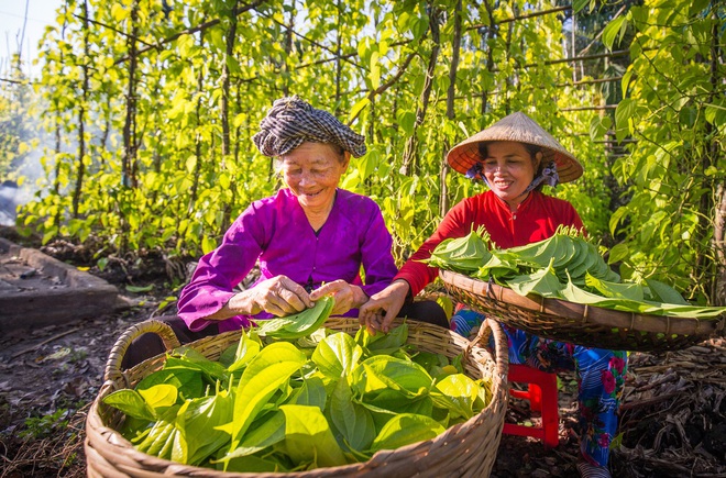 Ở miền Tây có tới 7 “vương quốc” ít ai biết: Mỗi vùng đại diện cho một đặc sản nức tiếng, không hổ danh xứ sở diệu kỳ! - Ảnh 6.