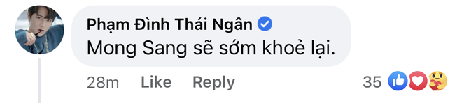 Võ Hoàng Yến, TyhD, Phạm Đình Thái Ngân và dàn sao Việt xót xa, kêu gọi giúp đỡ học trò Minh Tú viêm màng não - Ảnh 6.