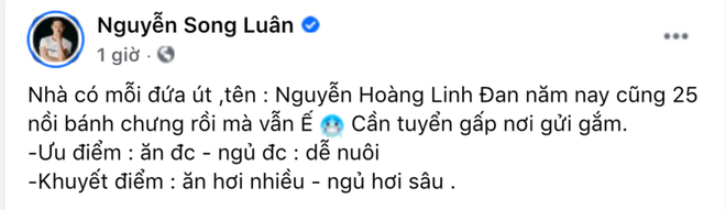 Mỹ nam 6 múi Vbiz có cô em gái đáng đồng tiền bát gạo: 25 nồi bánh chưng mà visual xinh xỉu, đọc phần rao bán thấy sai sai - Ảnh 4.