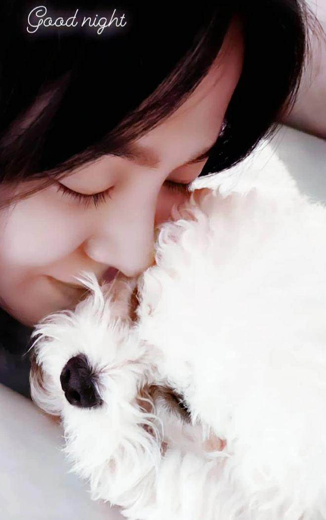 Song Hye Kyo đăng ảnh với cún cưng, vô tình để lộ nhan sắc thật khi để mặt mộc ở nhà giữa mùa dịch - Ảnh 3.