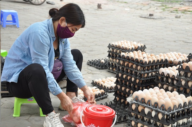 Giải mã hiện tượng trứng gà tăng giá kỷ lục, thương lái tranh nhau mua giữa tâm dịch - Ảnh 3.