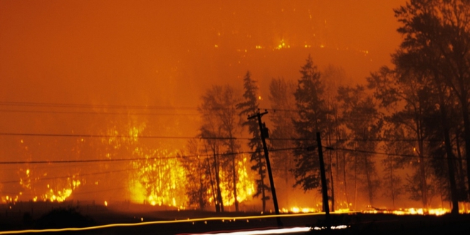 Nắng nóng, cháy rừng tại Mỹ và Canada: Hậu quả rõ ràng của biến đổi khí hậu - Ảnh 1.