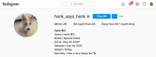 Hank - Chú chó nhà người ta, có hẳn 2 triệu follower, được các thành viên BLACKPINK hết mực cưng chiều - Ảnh 2.