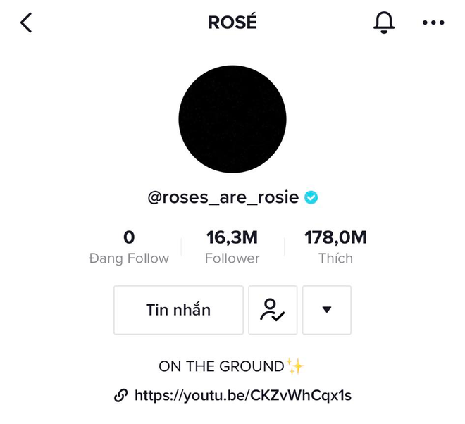 avatar tiktok của rosé