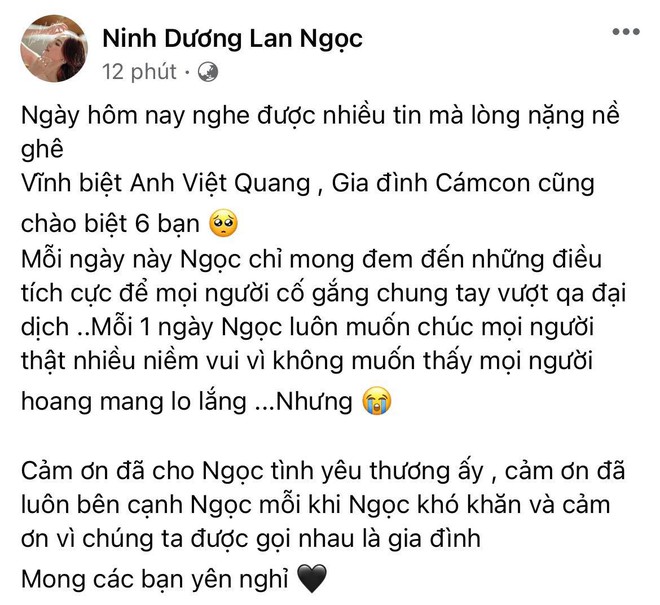 NS Việt Quang được hoả táng vào hôm nay, Lệ Quyên bàng hoàng, Nathan Lee cùng dàn sao Việt phúng viếng từ xa - Ảnh 7.