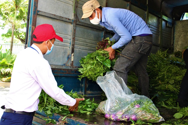 Nông dân vùng xanh ở Đà Nẵng gom rau xanh, nông sản gửi tặng vùng đỏ Sơn Trà - Ảnh 2.