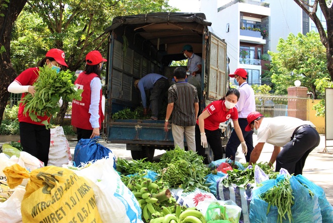 Nông dân vùng xanh ở Đà Nẵng gom rau xanh, nông sản gửi tặng vùng đỏ Sơn Trà - Ảnh 1.