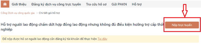 Cách nộp hồ sơ online nhận hỗ trợ Covid-19 khi không đủ điều kiện nhận trợ cấp thất nghiệp - Ảnh 1.