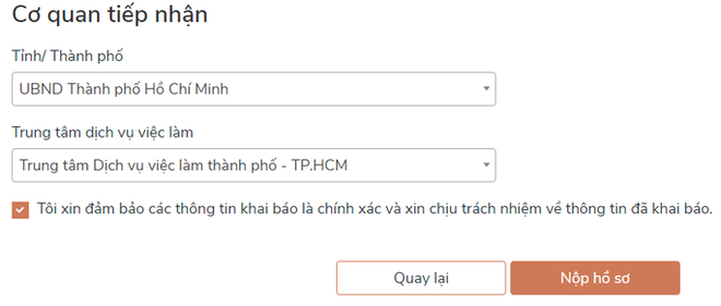 Cách nộp hồ sơ online nhận hỗ trợ Covid-19 khi không đủ điều kiện nhận trợ cấp thất nghiệp - Ảnh 6.