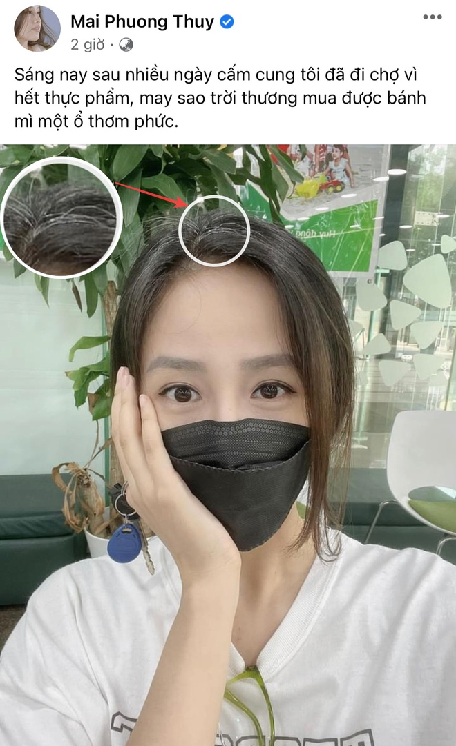 Mới 33 tuổi Mai Phương Thu&yacute; đ&atilde; lộ t&oacute;c bạc trắng, bạn th&acirc;n h&eacute; lộ l&yacute; do nghe xong chỉ biết bật cười! - Ảnh 2.
