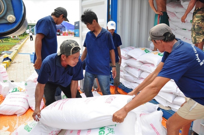 Hà Nội tặng TP.HCM và Bình Dương 6.000 tấn gạo  - Ảnh 1.