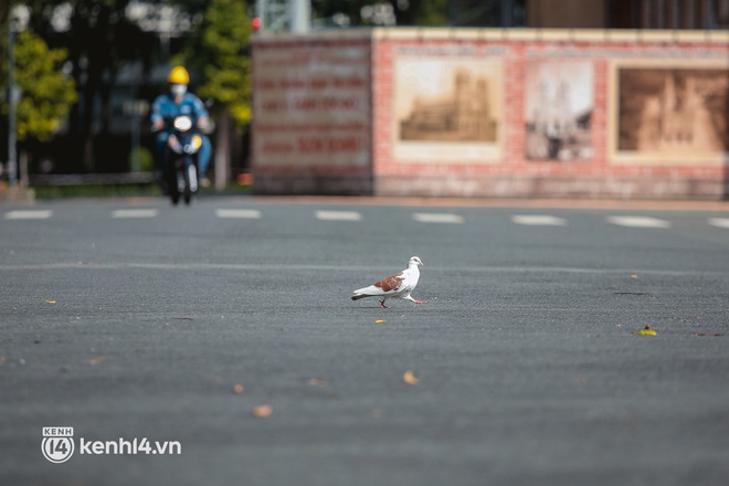 Đường phố Sài Gòn vắng lặng chưa từng thấy trong ngày đầu siết chặt giãn cách: Không còn bóng shipper, ai ở đâu ở yên đó - Ảnh 17.