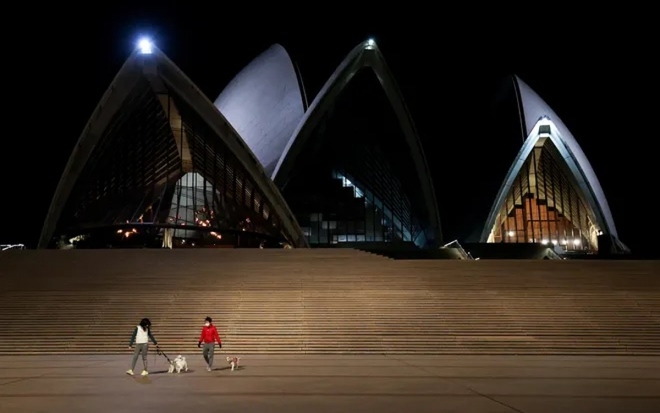 Australia: Bắn chết 15 con ch&oacute; để ngăn ngừa Covid-19 - Ảnh 1.