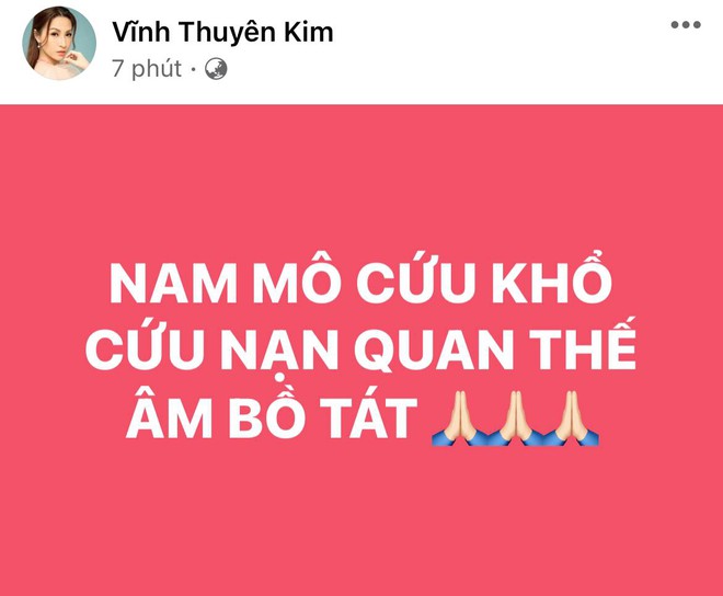 Lệ Quyên, Phương Thanh và cả showbiz đang hướng về Phi Nhung, cầu nguyện cho nữ ca sĩ qua cơn nguy kịch - Ảnh 6.