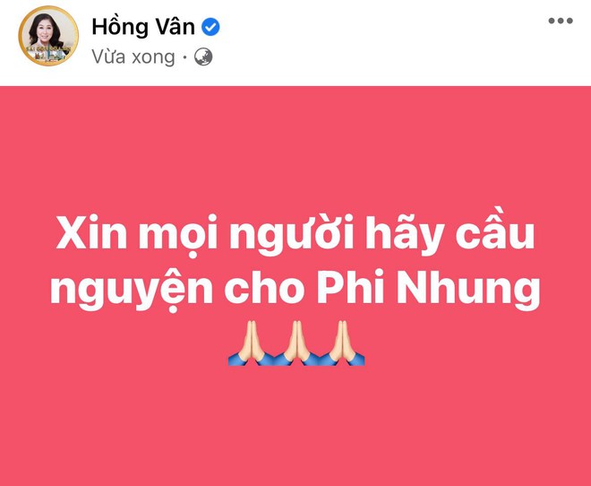 Lệ Quyên, Phương Thanh và cả showbiz đang hướng về Phi Nhung, cầu nguyện cho nữ ca sĩ qua cơn nguy kịch - Ảnh 9.