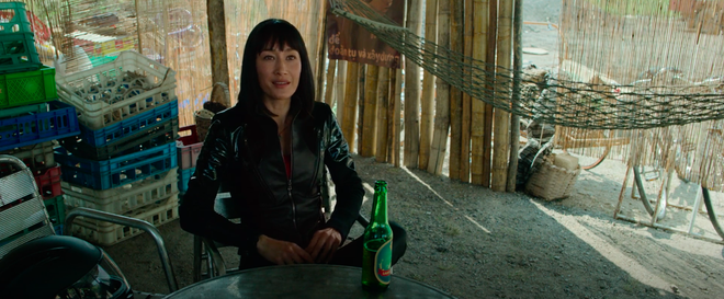 Ch&ugrave;m ảnh Việt Nam l&ecirc;n phim Hollywood về s&aacute;t thủ gốc Việt: Cầu Rồng, non nước đầy thơ mộng nhưng c&oacute; điểm lại rất sai! - Ảnh 4.