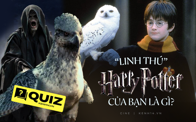 QUIZ: Lạc vào thế giới phù thủy Harry Potter, loài sinh vật nào sau đây chính là linh thú phản ánh tâm hồn bạn? - Ảnh 1.