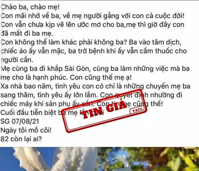 Kết quả x&aacute;c minh th&ocirc;ng tin b&aacute;c sĩ r&uacute;t ống thở của mẹ đẻ nhường cho sản phụ - Ảnh 1.
