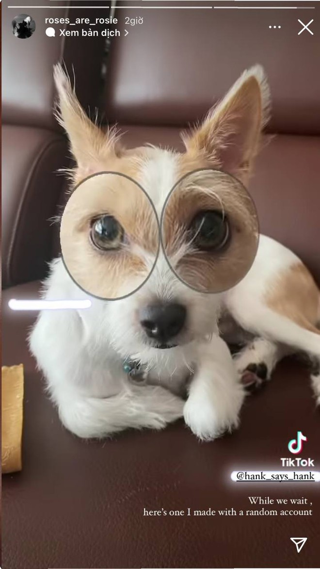 Ros&eacute; (BLACKPINK) đ&atilde; lập k&ecirc;nh TikTok mới, lại c&ograve;n đu trend cực hot tại Việt Nam - Ảnh 2.