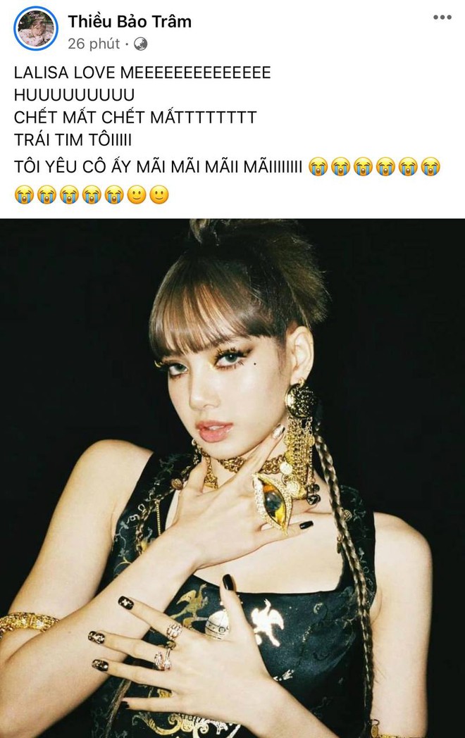 Bản sao Lisa bày tỏ xin chết vì idol từ Instagram sang FB, thái độ và tốc độ xứng danh fangirl số 1 tại Việt Nam - Ảnh 6.