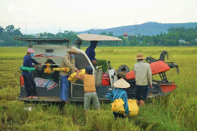 Ảnh: Người dân Đà Nẵng dầm mưa hối hả chạy bão giữa đại dịch Covid-19 - Ảnh 17.