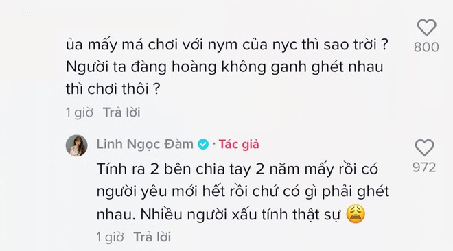 Linh Ngọc Đàm collab thật cồng kềnh với người yêu mới của người yêu cũ, đáp trả thế nào khi đọc bình luận kém duyên? - Ảnh 5.