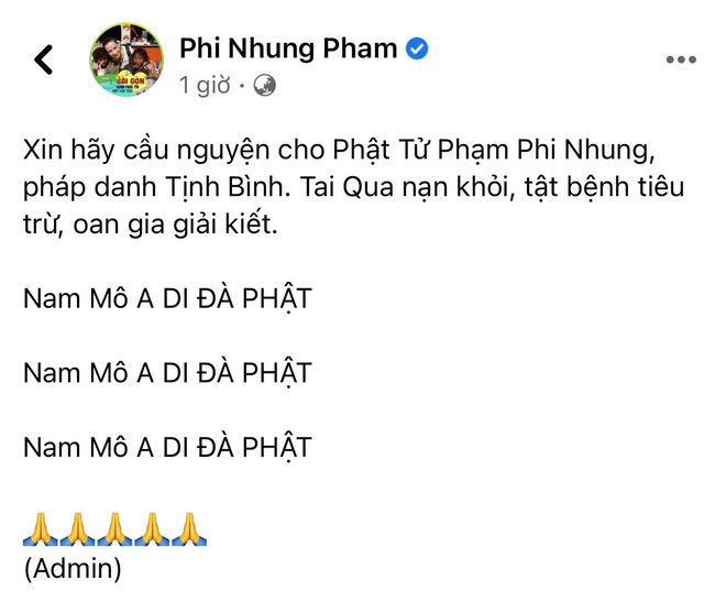 Vợ cũ Bằng Kiều gây lo lắng giữa đêm: Phi Nhung ơi em không được bỏ cuộc, các con rất cần em - Ảnh 5.