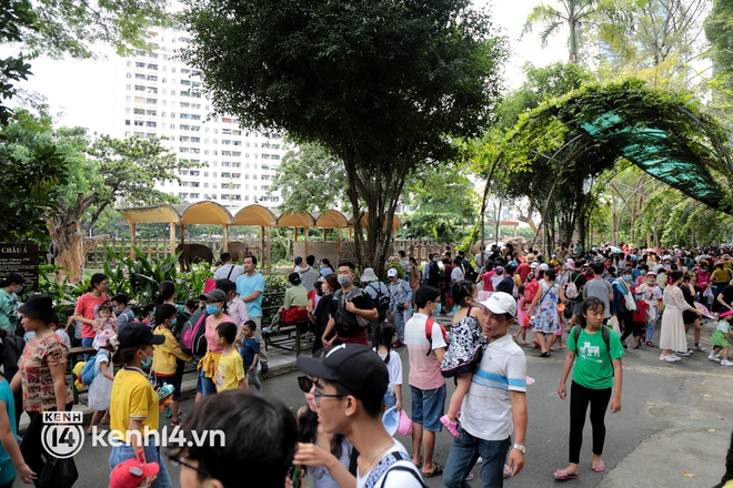 Giám đốc Thảo Cầm Viên Sài Gòn: “Đợt dịch này cả xã hội đều khó khăn, chúng tôi rất cảm kích cộng đồng đã hỗ trợ” - Ảnh 2.