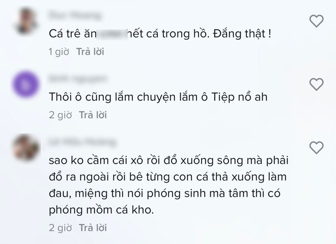 Vũ Khắc Tiệp thả cá phóng sinh nhưng lại bị netizen chỉ trích gay gắt vì 2 chi tiết - Ảnh 5.