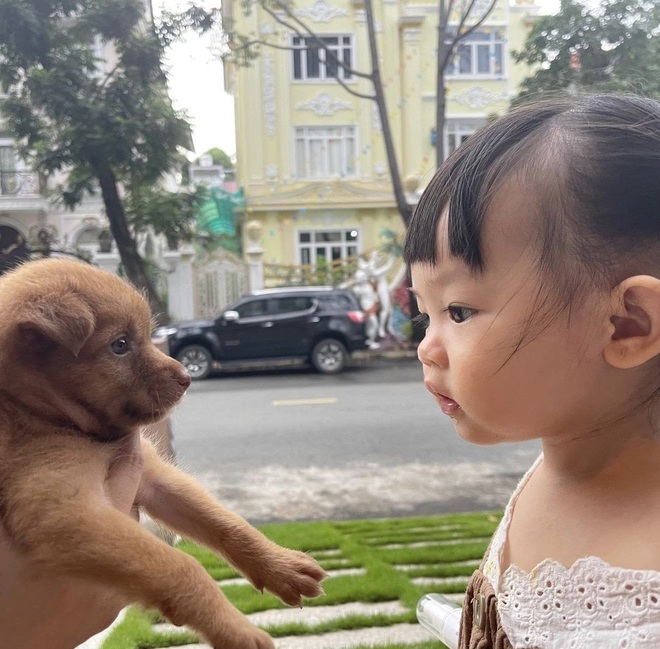 Gia đình Cường Đô La bất ngờ đón thêm thành viên mới: Suchin phấn khích còn anh cả Subeo có phản ứng thế nào? - Ảnh 3.