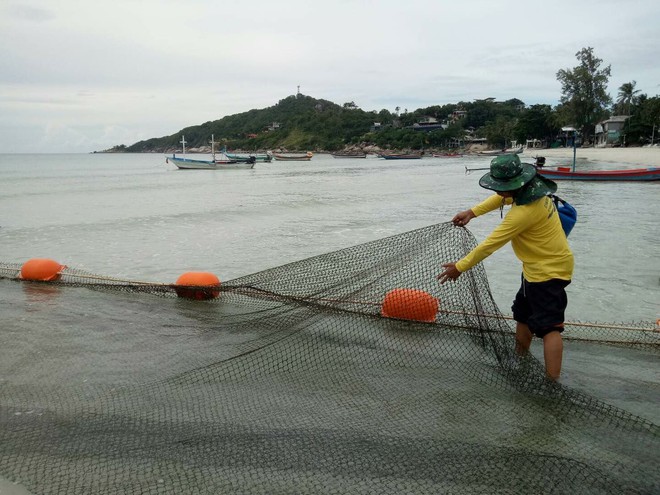 Đi tắm biển với bố mẹ, cậu bé 9 tuổi tử vong vì bị sứa cắn ở Thái Lan - Ảnh 3.