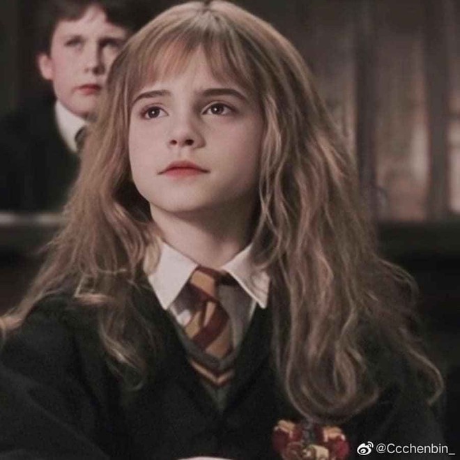 Không nhận ra Hermione Emma Watson ngày nào: Đi phi cơ riêng nhưng ngoại hình già xọm kém sắc đến ngỡ ngàng - Ảnh 12.