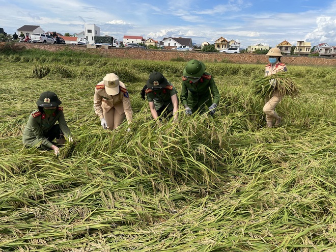 Quảng Bình làm gì để vừa phòng chống dịch Covid-19 vừa ứng phó bão Conson sắp đổ bộ? - Ảnh 1.