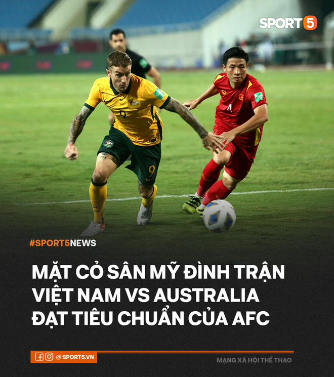 Mặt cỏ sân Mỹ Đình trận Việt Nam gặp Australia đạt tiêu chuẩn AFC - Ảnh 2.