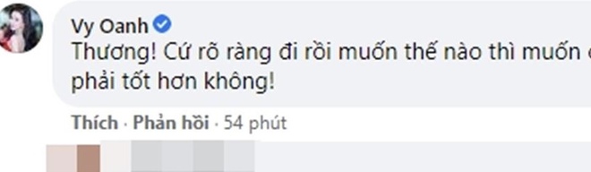 Diệp Lâm Anh ly thân vì có tiểu tam xuất hiện, Vy Oanh chỉ nói đúng 1 câu tỏ rõ thái độ! - Ảnh 2.