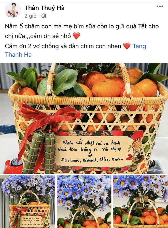 Lộ t&ecirc;n gọi của nh&oacute;c tỳ thứ 3 nh&agrave; H&agrave; Tăng, l&agrave; g&igrave; m&agrave; d&acirc;n t&igrave;nh rần rần th&iacute;ch th&uacute;? - Ảnh 2.