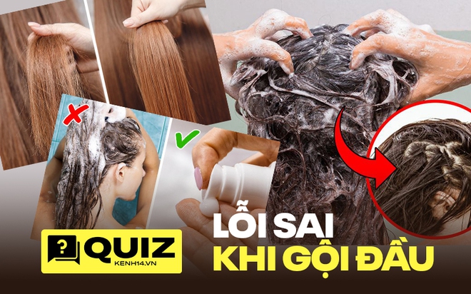 Quiz: Gội đầu mùa nào thì cũng phải né ngay 5 lỗi sai phổ biến nếu không muốn tóc khô xơ, kém bóng mượt - Ảnh 1.