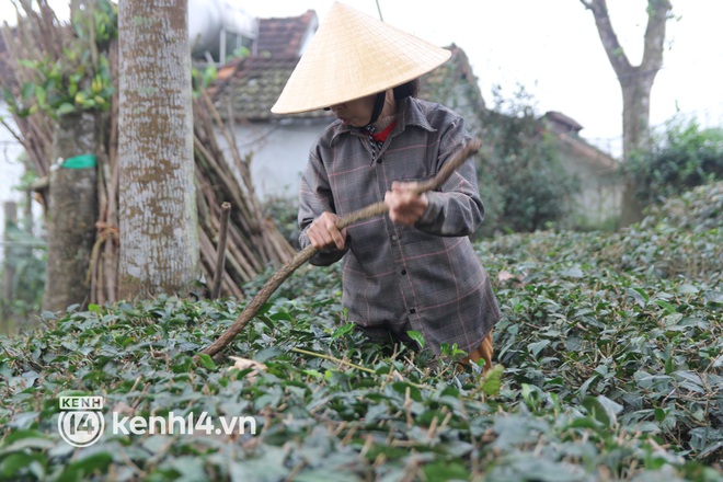 Gặp lại "dì ghẻ" trong câu chuyện "bánh đúc có xương" từng khiến nhiều người rơi nước mắt: "Một tay mẹ chăm lo miếng ăn cho chị em chúng tôi" - Ảnh 7.