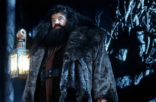 Sợ hãi bằng chứng Hagrid ở Harry Potter thật ra là Tử Thần Thực Tử: Nghe cũng hợp lý, fan Việt đáp trả ngay! - Ảnh 2.