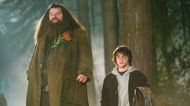 Sợ hãi bằng chứng Hagrid ở Harry Potter thật ra là Tử Thần Thực Tử: Nghe cũng hợp lý, fan Việt đáp trả ngay! - Ảnh 1.