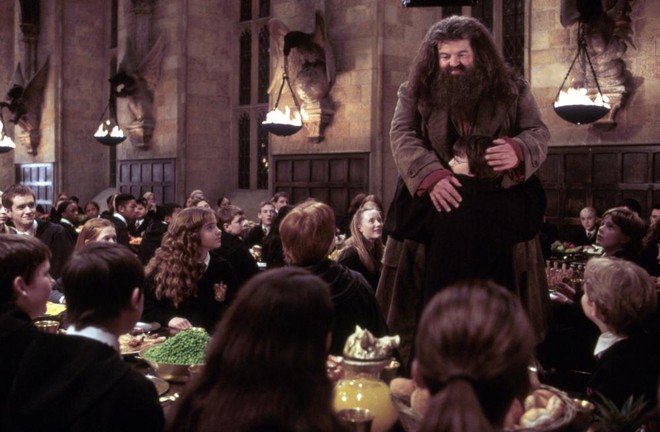 Sợ hãi bằng chứng Hagrid ở Harry Potter thật ra là Tử Thần Thực Tử: Nghe cũng hợp lý, fan Việt đáp trả ngay! - Ảnh 3.