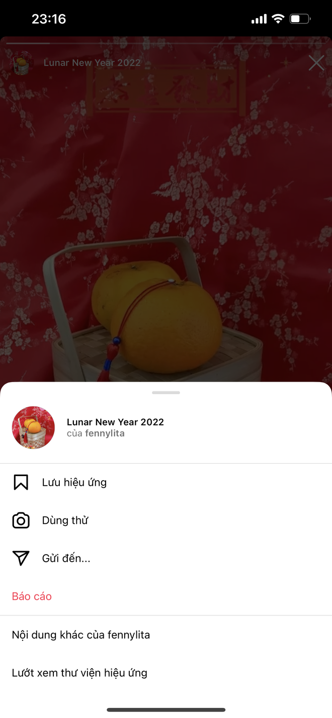 Nhanh tay lưu ngay 7749 filter ng&agrave;y Tết mới cập nhật tr&ecirc;n Instagram, tha hồ sống ảo, c&acirc;u like! - Ảnh 8.
