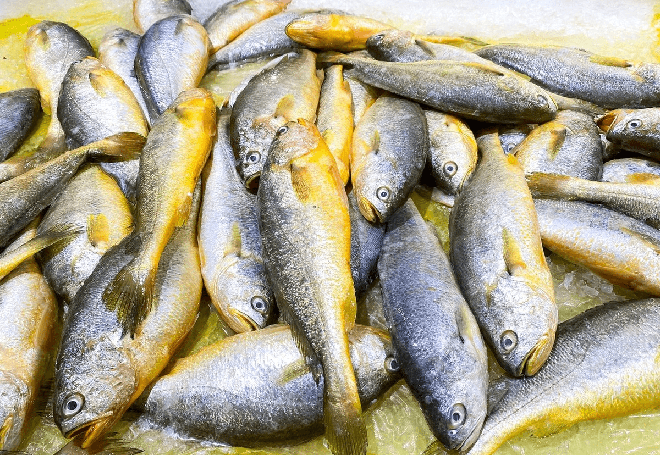 Vào mùa đông, người thông minh đi chợ thấy 7 loại cá này sẽ mua ngay vì đúng lúc chúng ngọt thịt, giàu dinh dưỡng, giá lại mềm - Ảnh 5.