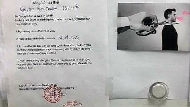 Gi&aacute;m đốc người Nhật sa thải nh&acirc;n vi&ecirc;n k&egrave;m ảnh cắt cổ bị điều chuyển về nước - Ảnh 1.