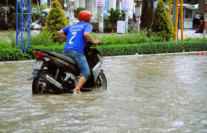 Đường phố Cần Thơ thành sông, người dân lội nước đi làm - Ảnh 6.