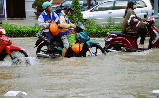 Đường phố Cần Thơ thành sông, người dân lội nước đi làm - Ảnh 7.