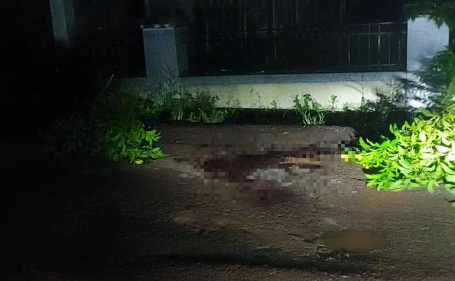 B&igrave;nh Phước: Thiệt mạng sau khi đập ch&eacute;n của chủ nh&agrave; - Ảnh 2.