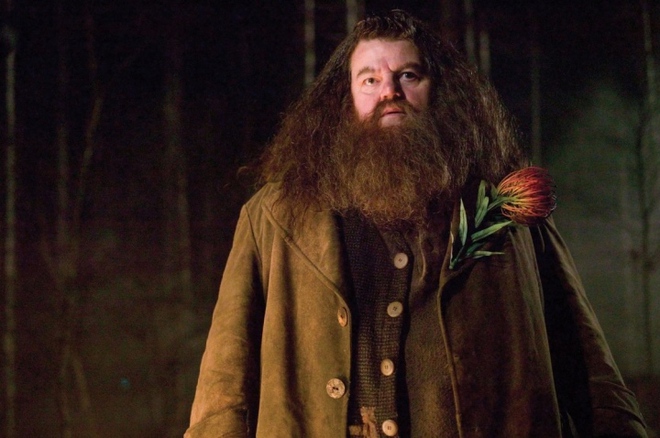 Bác Hagrid của phim Harry Potter qua đời ở tuổi 72 - Ảnh 2.