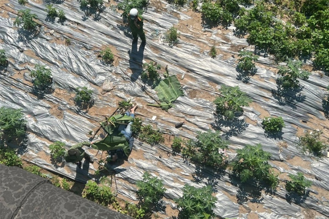 H&agrave; Nội: Người phụ nữ bỏ lại xe m&aacute;y, nhảy cầu Chương Dương - Ảnh 1.