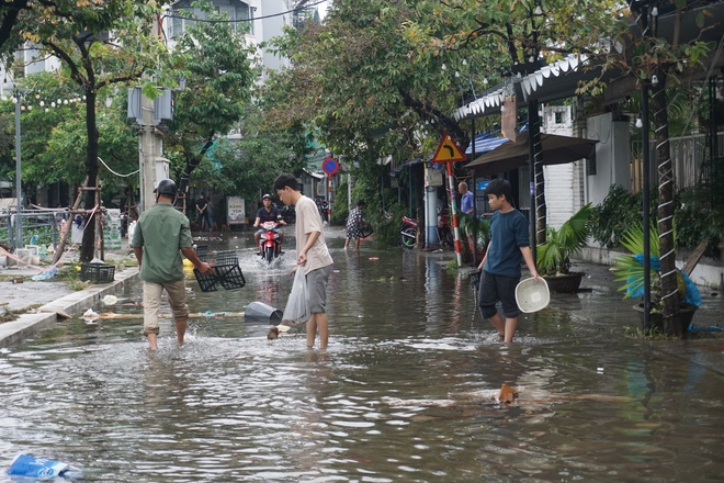 Người dân Đà Nẵng rủ nhau bắt cá trên đường phố sau mưa - Ảnh 2.
